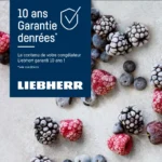 Congélateur top LIEBHERR FNdi1624 – Image 4